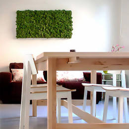 Rectangular Moss Picture mounted on a white wall in a office Breakout Area