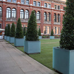Stunning clipped topiary trees shows what a difference well designed exterior planting can make
