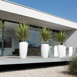 Exterior plants are used to create maximum visual impact with four identical displays on the patio of this ultra modern building