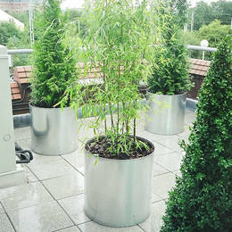 Exterior conifers & bamboo are used in this contemporary Landscaping Scheme for a rooftop garden